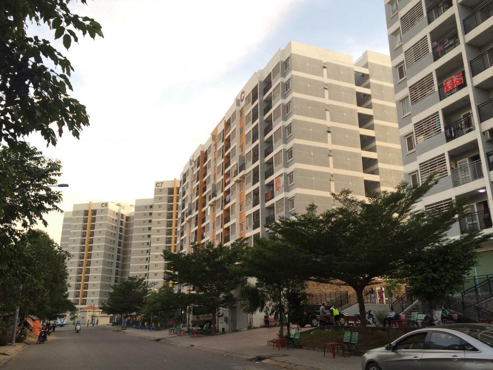 Tổng quan Man Thiện - C5