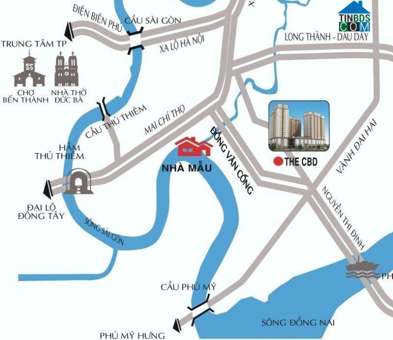 Tổng quan The CBD